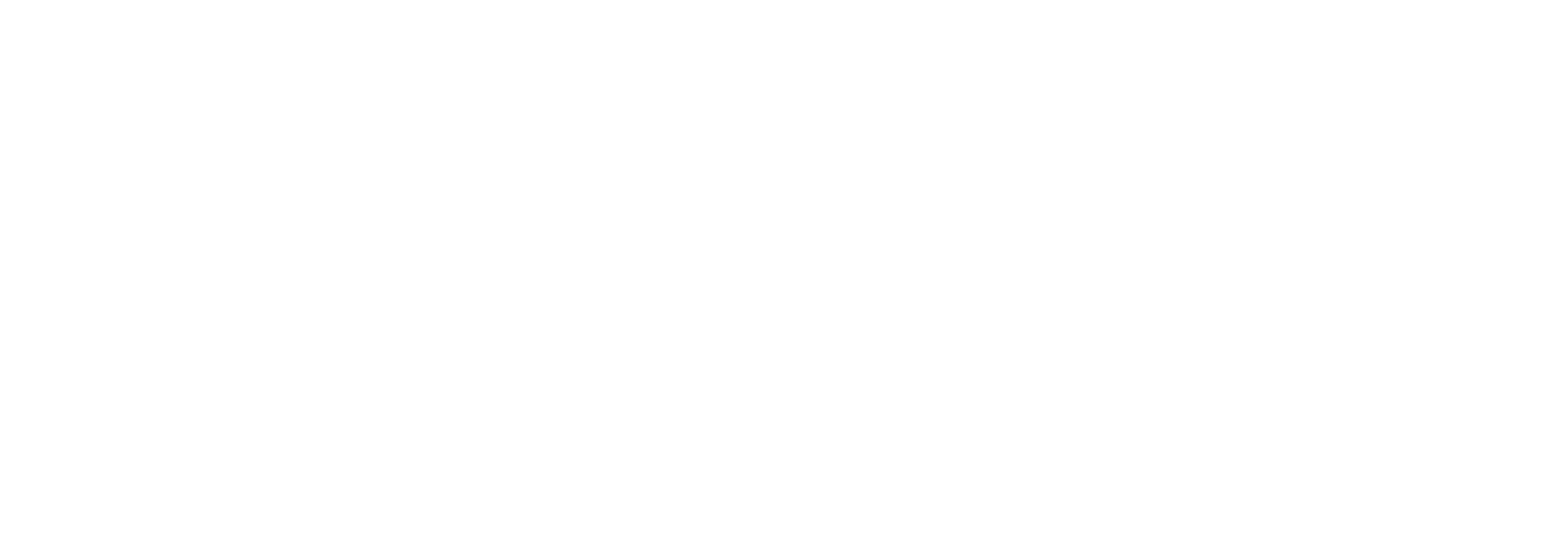 Databurst Logo